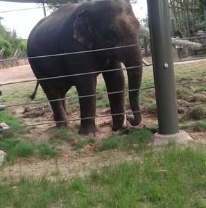 Meet your Posher, Mamie